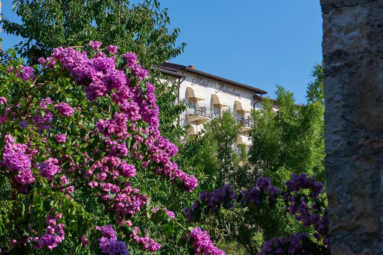Hotel Belvedere Torri Del Benaco Exteriér fotografie