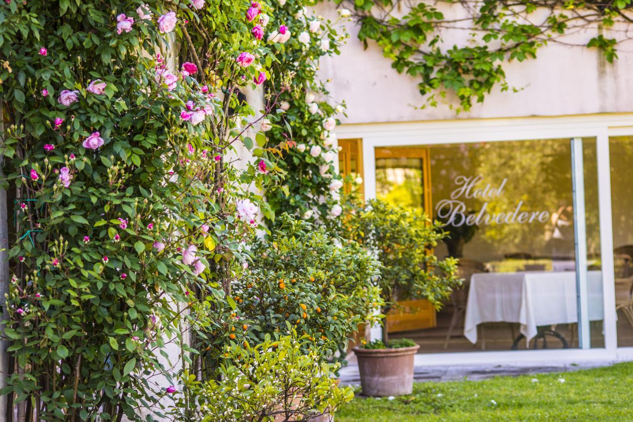 Hotel Belvedere Torri Del Benaco Exteriér fotografie